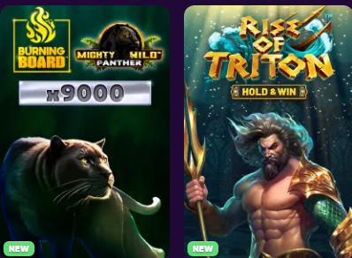 spinnaus casino bet
